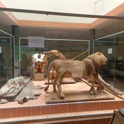 Uganda Wildlife Education Centre (Entebbe Zoo) - Namasuba