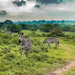 Lake Mburo National Park - Ntungamo