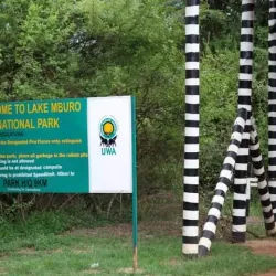 Lake Mburo National Park - Ntungamo