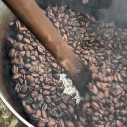 Local Coffee Plantations - Ntungamo