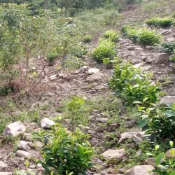 Ntungamo District Headquarters - Ntungamo