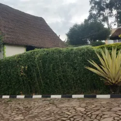 Rwakitura State Lodge - Ntungamo