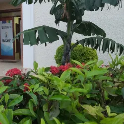 Buganda Cultural Sites - Wakiso