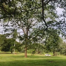 Entebbe Botanical Gardens - Wakiso