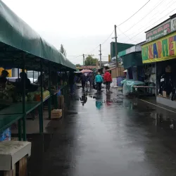 Bakhmut Market - Bakhmut