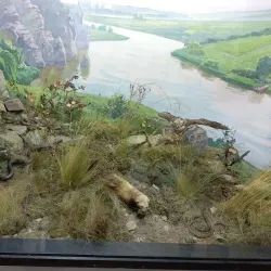 Azov Sea Museum - Berdyansk (Berdiansk)