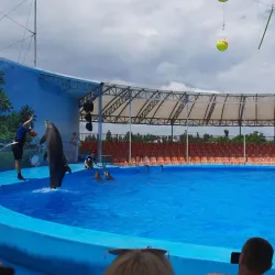 Berdyansk Dolphinarium - Berdyansk (Berdiansk)