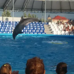 Berdyansk Dolphinarium - Berdyansk (Berdiansk)