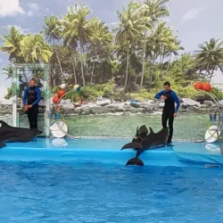 Berdyansk Dolphinarium - Berdyansk (Berdiansk)