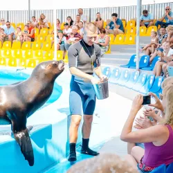 Berdyansk Dolphinarium - Berdyansk (Berdiansk)