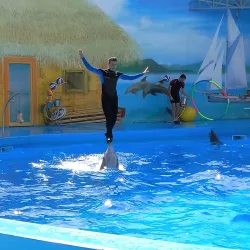 Berdyansk Dolphinarium - Berdyansk (Berdiansk)