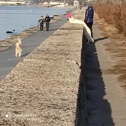 Berdyansk Embankment - Berdyansk (Berdiansk)