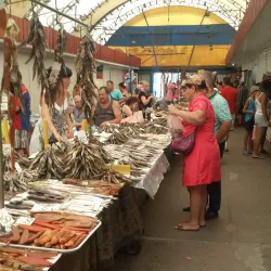Central Market - Berdyansk (Berdiansk)