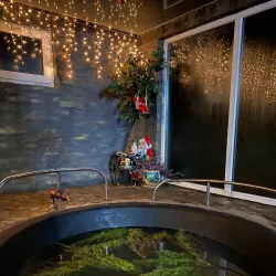 Therapeutic Mud Baths - Berdyansk (Berdiansk)