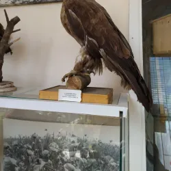 City Museum of Local Lore - Bilgorod-Dnistrovskyi