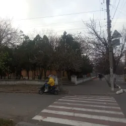 City Park - Bilgorod-Dnistrovskyi