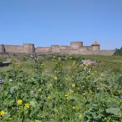 Dniester Estuary - Bilgorod-Dnistrovskyi