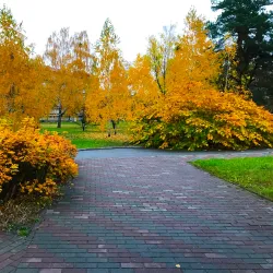 Brovary Central Park - Brovary