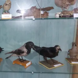 Museum of Local Lore - Brovary