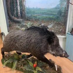 Museum of Local Lore - Brovary