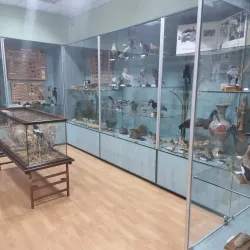 Museum of Local Lore - Brovary
