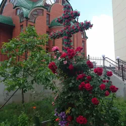 St. Nicholas Church - Brovary