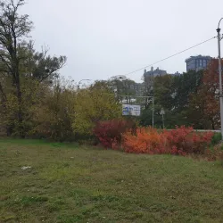 Bucha Cultural Center - Bucha