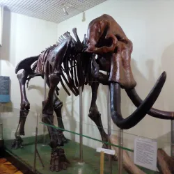 Cherkasy Regional Museum - Cherkasy