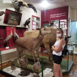 Cherkasy Regional Museum - Cherkasy