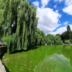 Cherkasy Zoo - Cherkasy