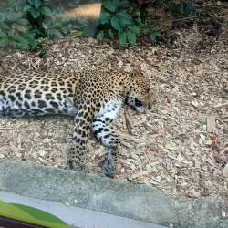 Cherkasy Zoo - Cherkasy