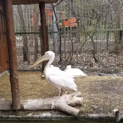 Cherkasy Zoo - Cherkasy