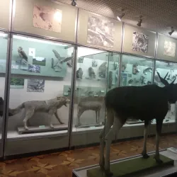 Museum of Local Lore - Cherkasy