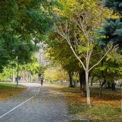 Taras Shevchenko Park - Cherkasy