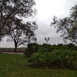 Chernihiv Collegium - Chernihiv