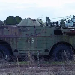 Chernobyl Cooling Pond - Chernobyl