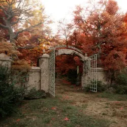 Red Forest - Chernobyl