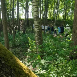 Red Forest - Chernobyl