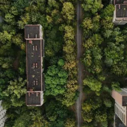 Red Forest - Chernobyl