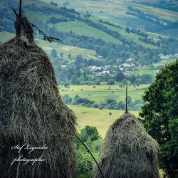 Carpathian Mountains (Nearby) - Chop