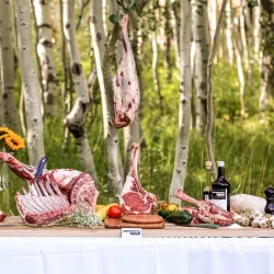 Chop City Park - Chop