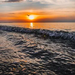 Chornomorsk Central Beach - Chornomorsk (Chernomorsk)
