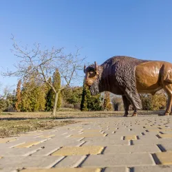 Chornomorsk City Park - Chornomorsk (Chernomorsk)
