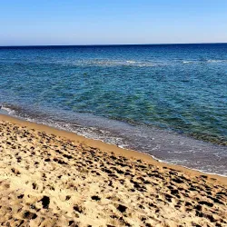 Chornomorsk City Park - Chornomorsk (Chernomorsk)