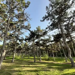 Victory Park (Park Peremohy) - Chornomorsk (Chernomorsk)