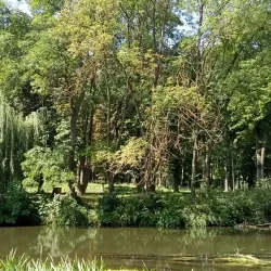 Chortkiv City Park - Chortkiv