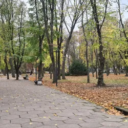 Central City Park - Dnipro