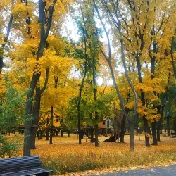 Taras Shevchenko Park - Dnipro
