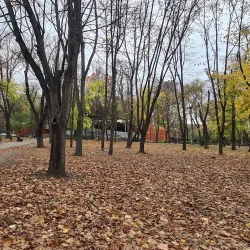 Taras Shevchenko Park - Dnipro
