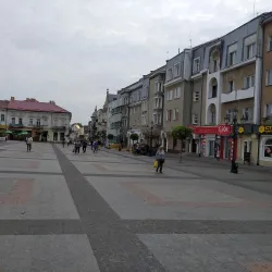 Drohobych City Hall - Drohobych